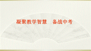 栏目用于追新